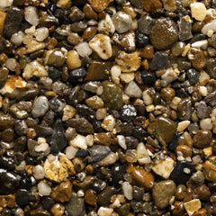 Quart de KIT UV Pois de senteur 1-5 mm